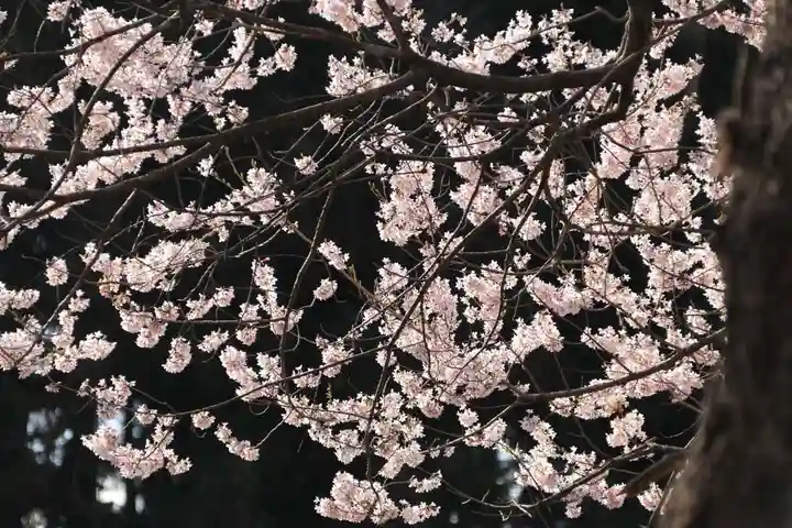 宇賀神さまの自然