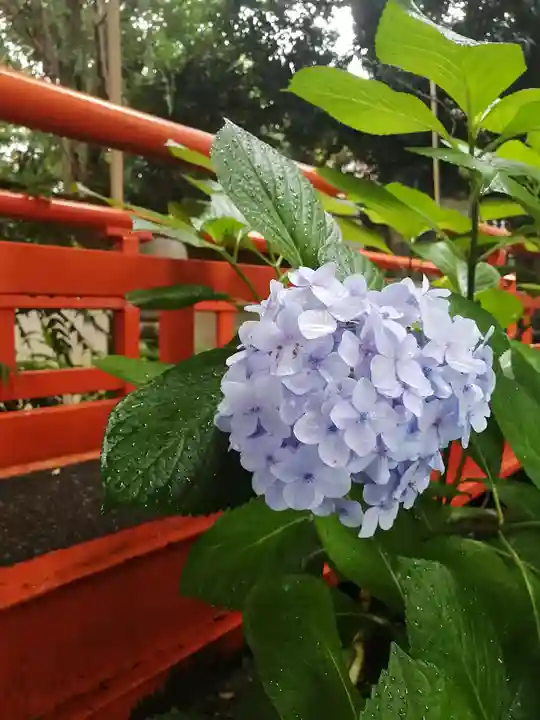 葛西神社の自然