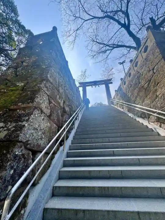 武雄神社の{uncategorized: "未分類", other: "その他", undefined: "問題あり", building: "その他建物", grave: "お墓", sacred_gate: "鳥居", guardian: "狛犬", statue: "像", buddha: "仏像", history: "歴史", nature: "自然", garden: "庭園", animal: "動物", pagoda: "塔", temizu: "手水舎", mountain_gate: "山門・神門", sanctuary: "本殿・本堂", subordinate: "末社・摂社", art: "芸術", scenery: "景色", jizo: "地蔵", ema: "絵馬", goshuin: "御朱印", omikuji: "おみくじ", items: "授与品その他", amulet: "お守り", goshuincho: "御朱印帳", eats: "食事", festival: "お祭り", votive_dance: "神楽", shichigosan: "七五三参", wedding: "結婚式", experience: "体験その他", initially: "初詣", around: "周辺", anti_infection: "感染症対策"}