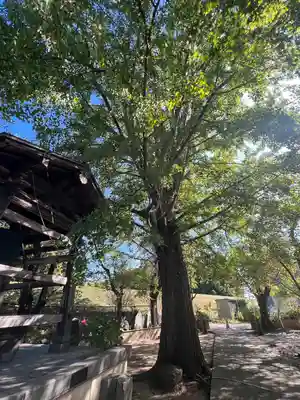 落合観音堂(宮城県)