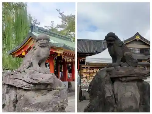 浅草神社の狛犬