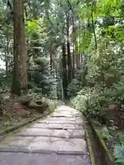 霧島神宮(鹿児島県)