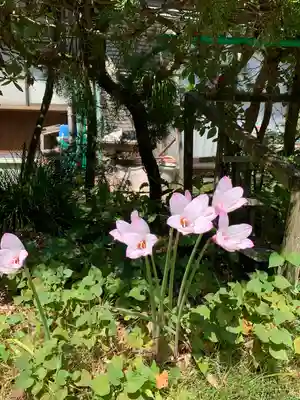 飛鳥寺(三重県)