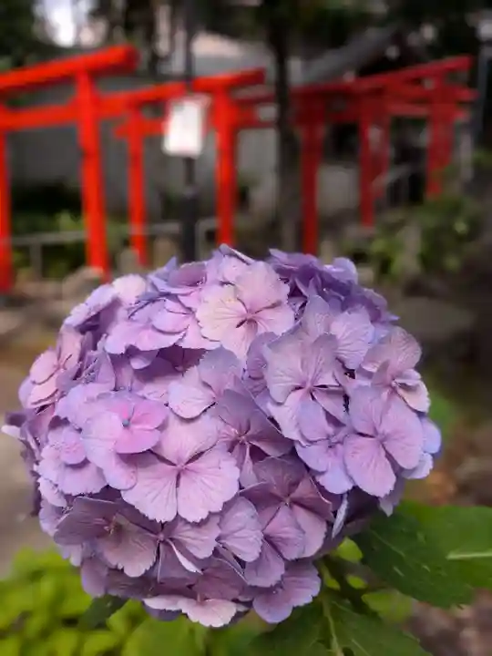 鳩森八幡神社(東京都)