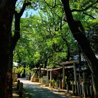 若宮八幡社(愛知県)