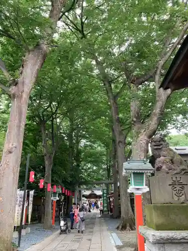 田無神社の自然