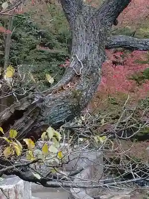 寒川神社のその他建物