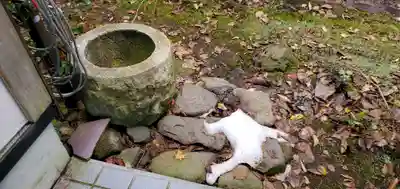 聖福寺(岩手県)