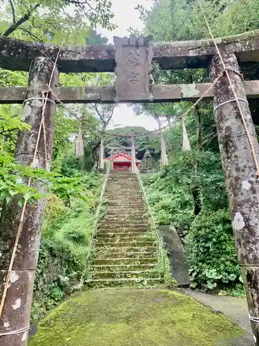 箱崎八幡神社の鳥居