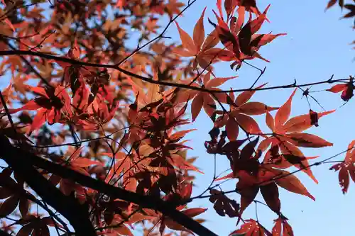 貴船神社の自然