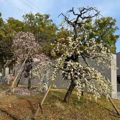 伊勢の国 四天王寺(三重県)