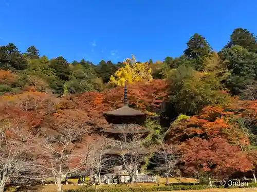 金剛院(京都府)
