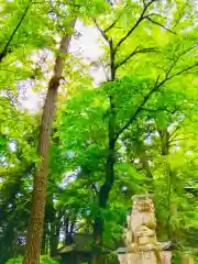 野木神社の狛犬