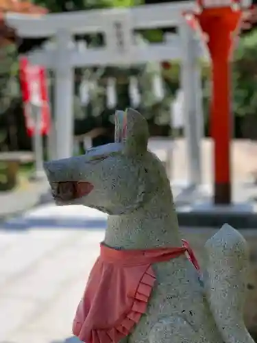 高屋敷稲荷神社の狛犬