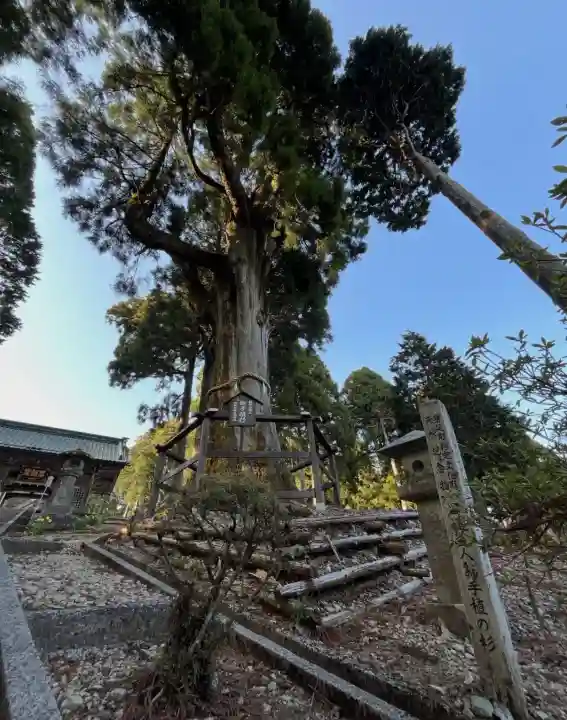 身延山奥之院思親閣(山梨県)