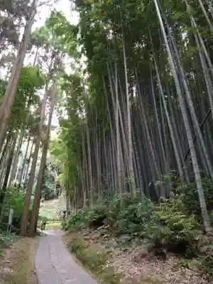 武雄神社(佐賀県)