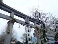 若宮八幡宮 (神奈川県)