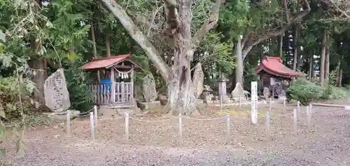 温泉神社の建物その他