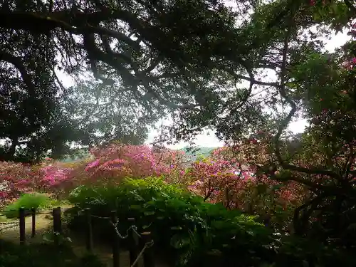 安養院　(田代寺）の自然