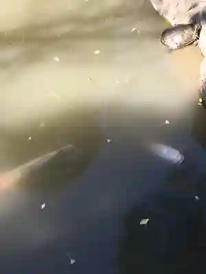 高幡不動尊　金剛寺(東京都)