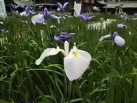 宮地嶽神社の自然