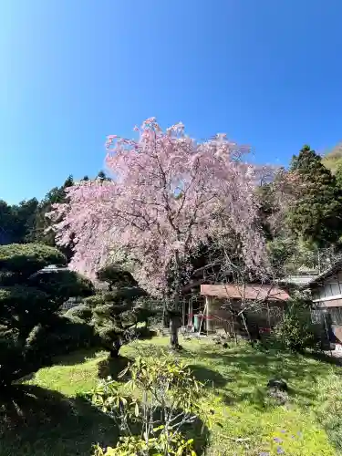 仏隆寺の{uncategorized: "未分類", other: "その他", undefined: "問題あり", building: "その他建物", grave: "お墓", sacred_gate: "鳥居", guardian: "狛犬", statue: "像", buddha: "仏像", history: "歴史", nature: "自然", garden: "庭園", animal: "動物", pagoda: "塔", temizu: "手水舎", mountain_gate: "山門・神門", sanctuary: "本殿・本堂", subordinate: "末社・摂社", art: "芸術", scenery: "景色", jizo: "地蔵", ema: "絵馬", goshuin: "御朱印", omikuji: "おみくじ", items: "授与品その他", amulet: "お守り", goshuincho: "御朱印帳", eats: "食事", festival: "お祭り", votive_dance: "神楽", shichigosan: "七五三参", wedding: "結婚式", experience: "体験その他", initially: "初詣", around: "周辺", anti_infection: "感染症対策"}