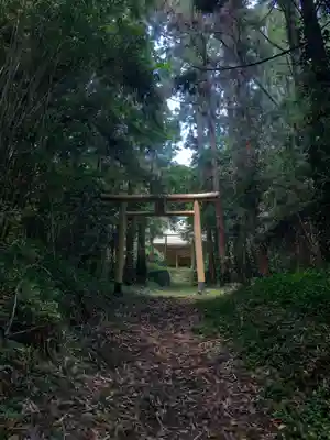 安房大杉神社の鳥居