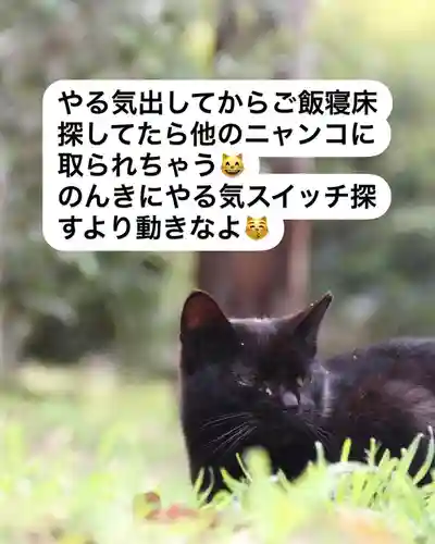 専念寺(大阪府)