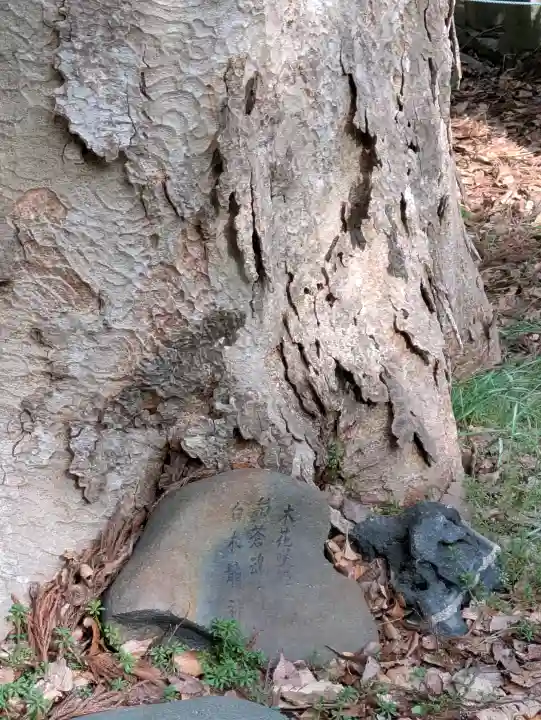 函館八幡宮の{uncategorized: "未分類", other: "その他", undefined: "問題あり", building: "その他建物", grave: "お墓", sacred_gate: "鳥居", guardian: "狛犬", statue: "像", buddha: "仏像", history: "歴史", nature: "自然", garden: "庭園", animal: "動物", pagoda: "塔", temizu: "手水舎", mountain_gate: "山門・神門", sanctuary: "本殿・本堂", subordinate: "末社・摂社", art: "芸術", scenery: "景色", jizo: "地蔵", ema: "絵馬", goshuin: "御朱印", omikuji: "おみくじ", items: "授与品その他", amulet: "お守り", goshuincho: "御朱印帳", eats: "食事", festival: "お祭り", votive_dance: "神楽", shichigosan: "七五三参", wedding: "結婚式", experience: "体験その他", initially: "初詣", around: "周辺", anti_infection: "感染症対策"}