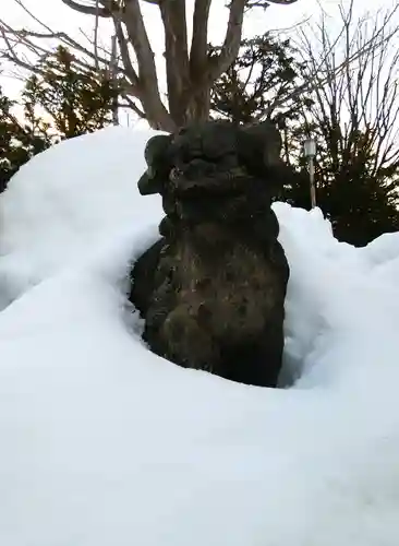 札幌村神社の狛犬