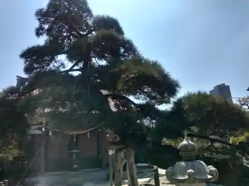 瑞光寺(東京都)