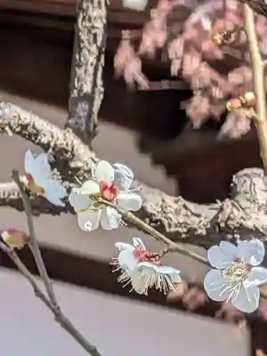 高円寺(東京都)