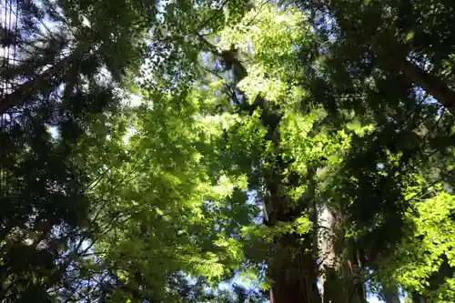 磐椅神社の景色