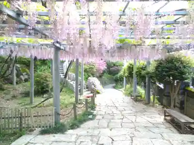 阿智神社(岡山県)