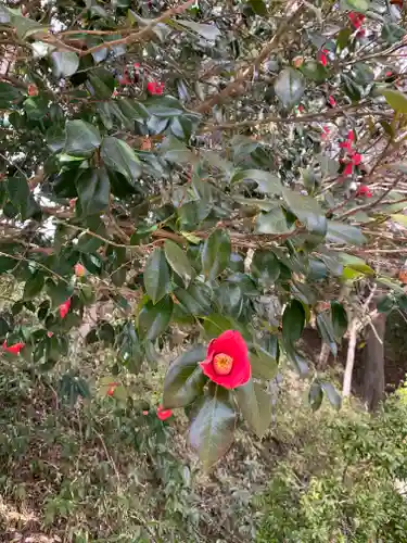 壽命院 永徳寺の自然