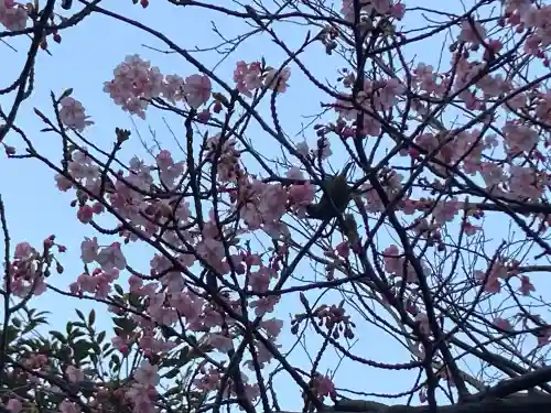 江島神社の{uncategorized: "未分類", other: "その他", undefined: "問題あり", building: "その他建物", grave: "お墓", sacred_gate: "鳥居", guardian: "狛犬", statue: "像", buddha: "仏像", history: "歴史", nature: "自然", garden: "庭園", animal: "動物", pagoda: "塔", temizu: "手水舎", mountain_gate: "山門・神門", sanctuary: "本殿・本堂", subordinate: "末社・摂社", art: "芸術", scenery: "景色", jizo: "地蔵", ema: "絵馬", goshuin: "御朱印", omikuji: "おみくじ", items: "授与品その他", amulet: "お守り", goshuincho: "御朱印帳", eats: "食事", festival: "お祭り", votive_dance: "神楽", shichigosan: "七五三参", wedding: "結婚式", experience: "体験その他", initially: "初詣", around: "周辺", anti_infection: "感染症対策"}