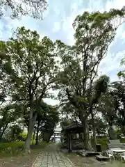 天疫神社(福岡県)