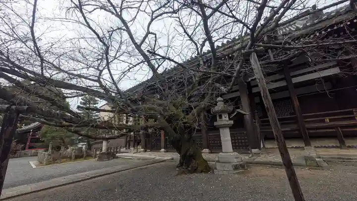 本法寺(京都府)