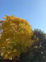 高徳院(神奈川県)