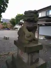 立川熊野神社の狛犬