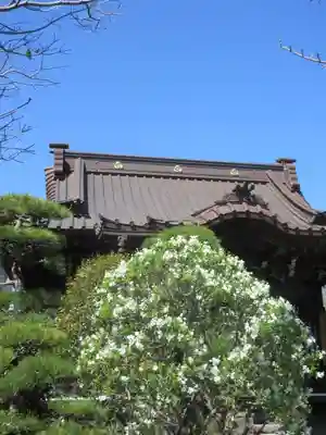 大巧寺のその他建物