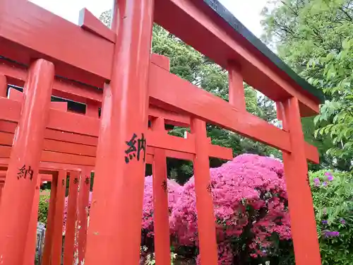 根津神社の鳥居