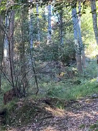 出雲大神宮(京都府)