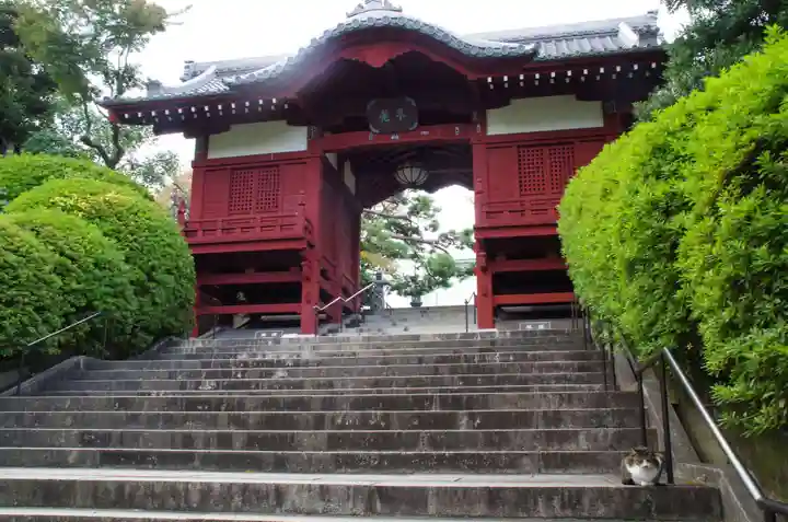 護国寺の山門・神門