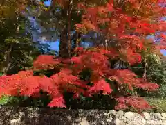 椿大神社(三重県)