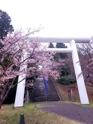 土津神社|こどもと出世の神さまの鳥居