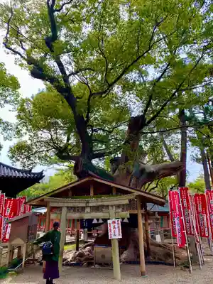 住吉大社(大阪府)