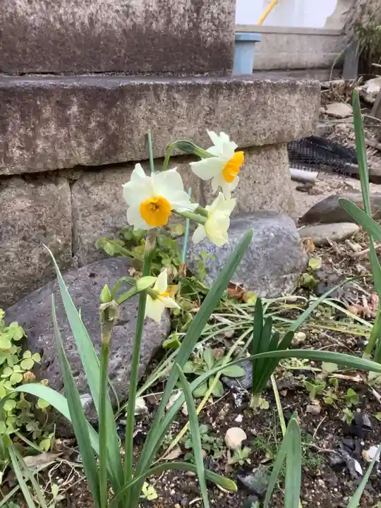 三輪神社の自然