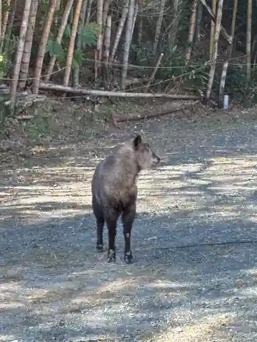 秋葉總本殿可睡斎(静岡県)