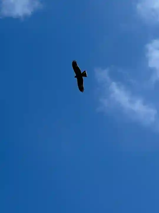 大渕寺(埼玉県)
